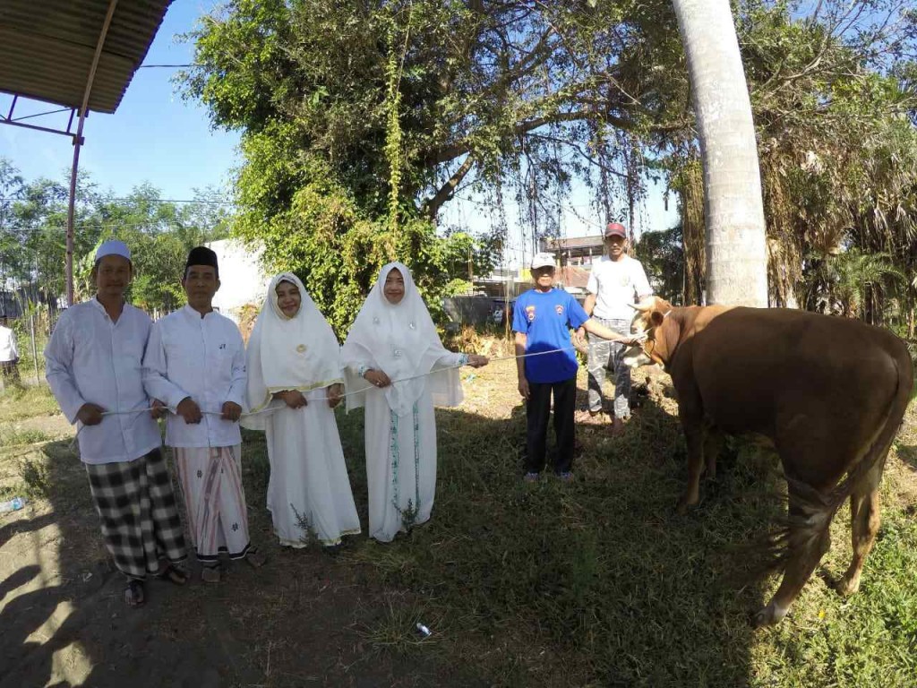 Peringati hari raya Idul Adha, MTsN 3 Malang Malang sembelih hewan kurban sebagai sarana berbagi dan napak tilas Nabi Ibrahim AS