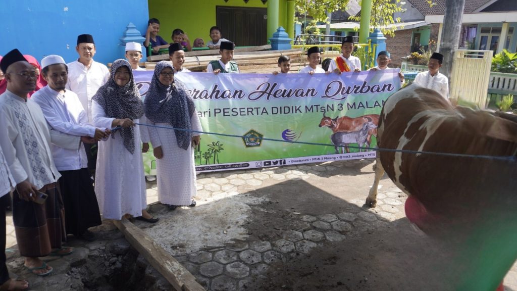 Peringati Idul Adha 1444, MTsN 3 Malang Bagikan Hewan Qurban di Desa Sengkrakan